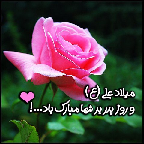  عکس ولادت حضرت علی