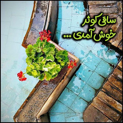  عکس ولادت حضرت علی
