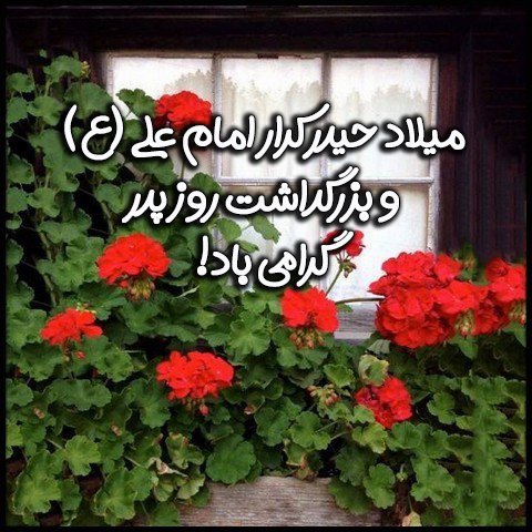  عکس ولادت حضرت علی