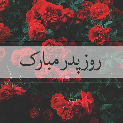  عکس تبریک روز پدر جدید