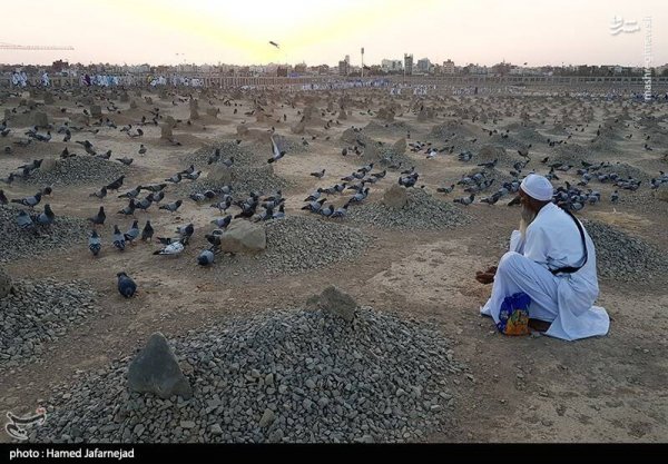  عکس مسجد النبی و قبرستان بقیع