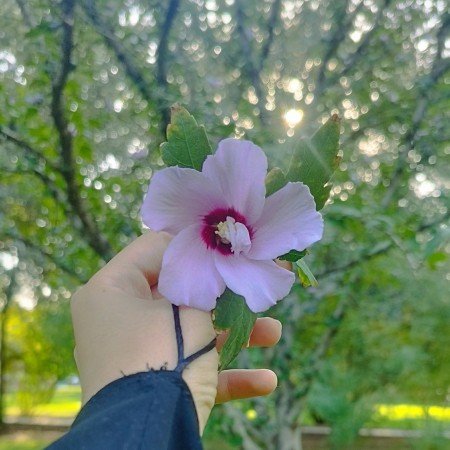  پروفایل مذهبی دخترانه چادری