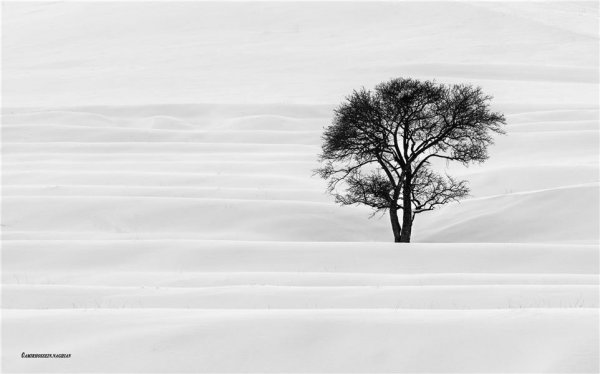  عکس مینیمال