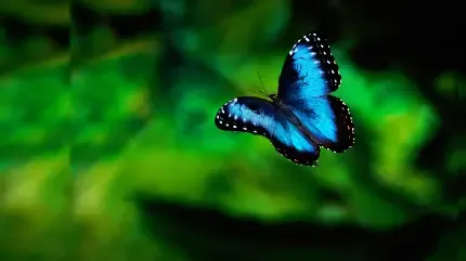  عکس های مینیمال طبیعت