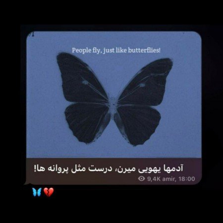  عکس قلب سیاه واقعی
