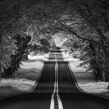  عکس قلب سیاه واقعی