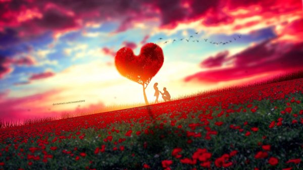 عکس قلب زیبا جدید