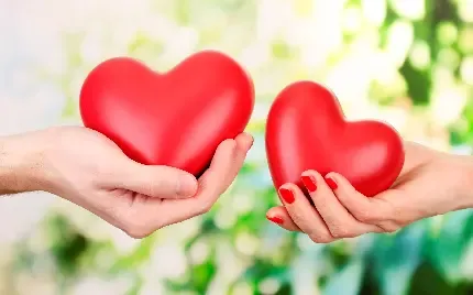  عکس قلب عاشقانه دونفره
