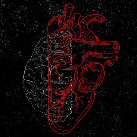  عکس قلب سیاه غمگین شکسته