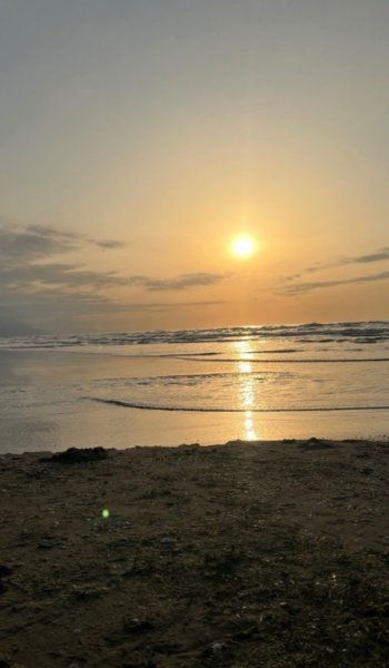  عکس سالیوان برای بک گراند