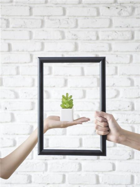 عکس مینیمال طبیعت