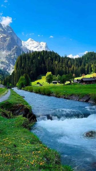  عکس طبیعت برای پروفایل