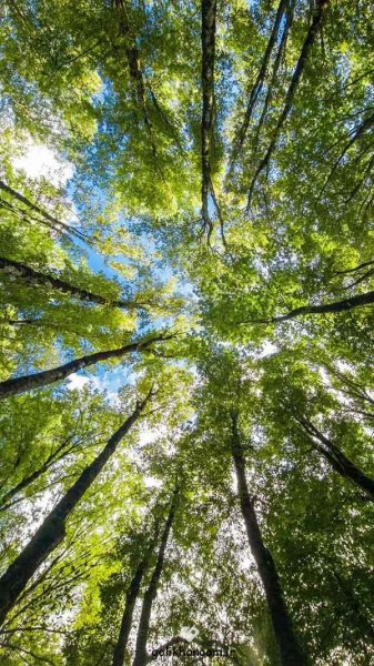  عکس طبیعت برای پروفایل