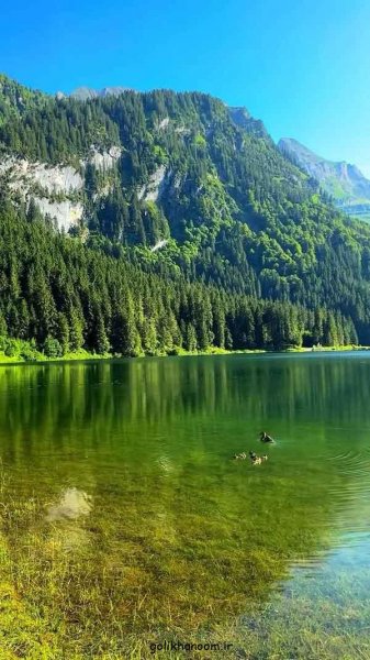  عکس طبیعت برای پروفایل
