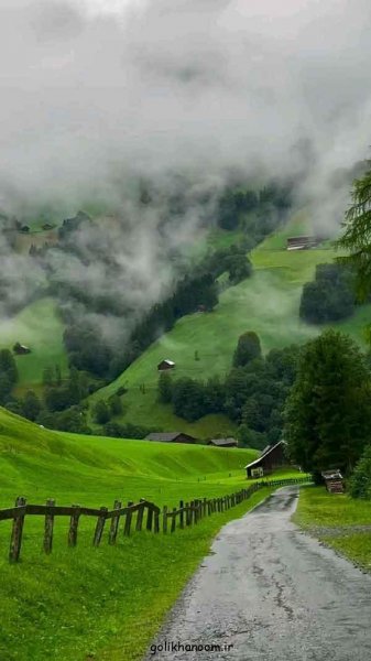  عکس طبیعت برای پروفایل