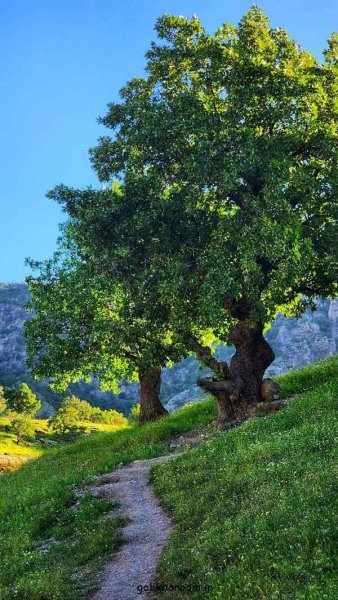  عکس طبیعت برای پروفایل