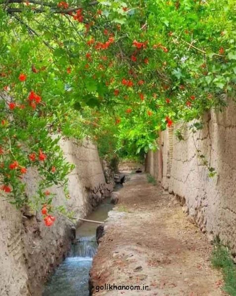  عکس طبیعت برای پروفایل