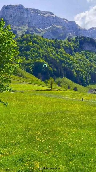  عکس طبیعت برای پروفایل