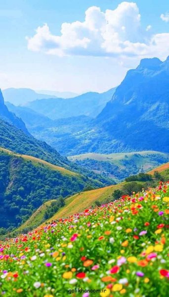  عکس طبیعت برای پروفایل