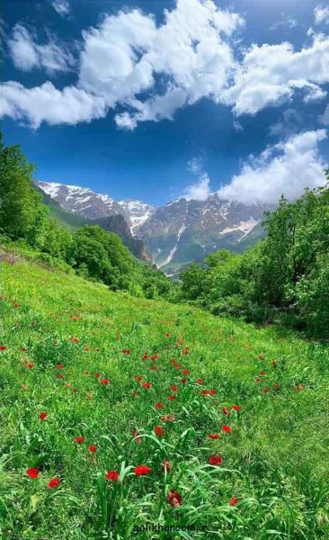  عکس طبیعت برای پروفایل