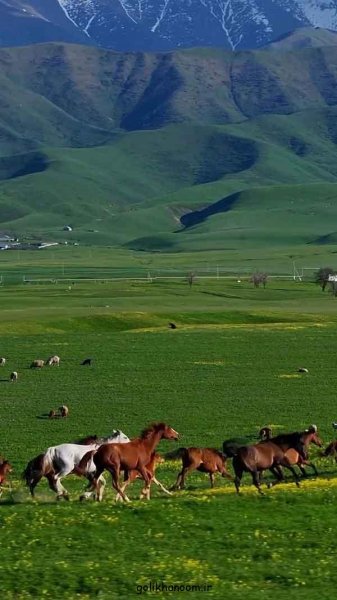  عکس طبیعت برای پروفایل