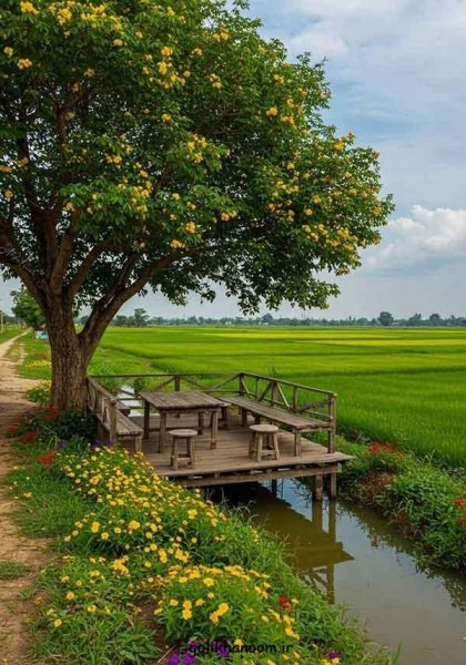  عکس طبیعت برای پروفایل
