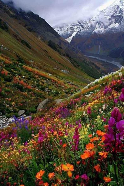  عکس طبیعت برای پروفایل