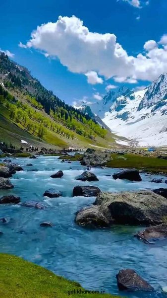  عکس طبیعت برای پروفایل