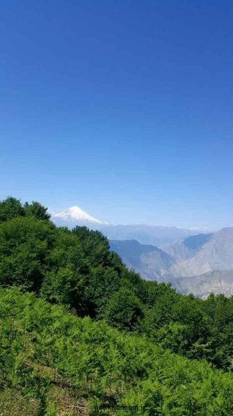  عکس طبیعت برای پروفایل