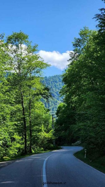  عکس طبیعت برای پروفایل