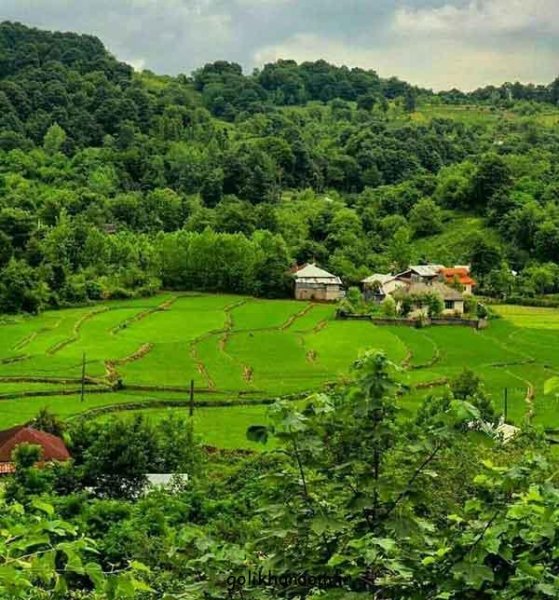  عکس طبیعت برای پروفایل