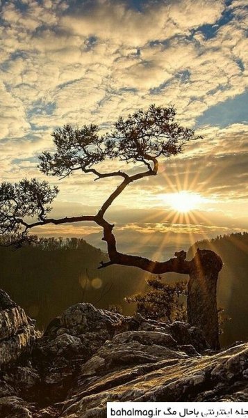  عکس طبیعت برای پروفایل مردانه