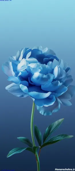  عکس رنگ ابی