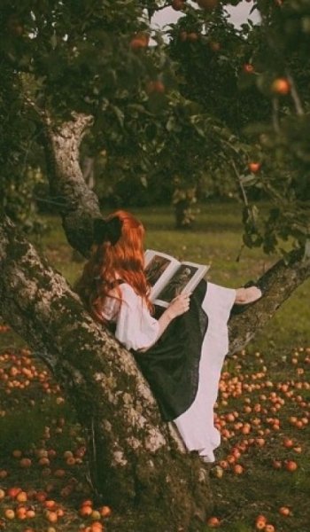  عکس کتاب برای پروفایل شاد