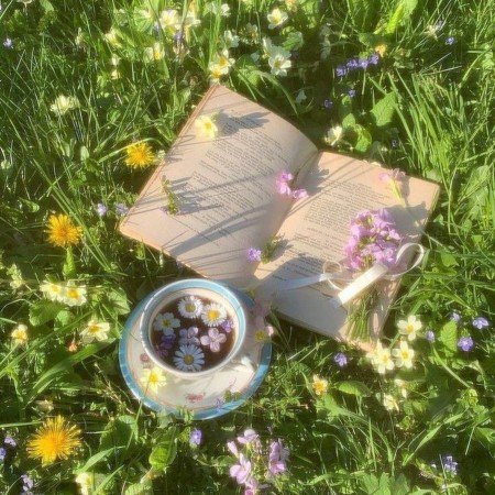  عکس کتاب برای پروفایل شاد