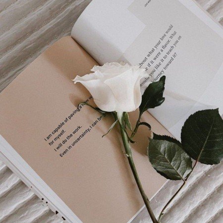  عکس کتاب برای پروفایل شاد