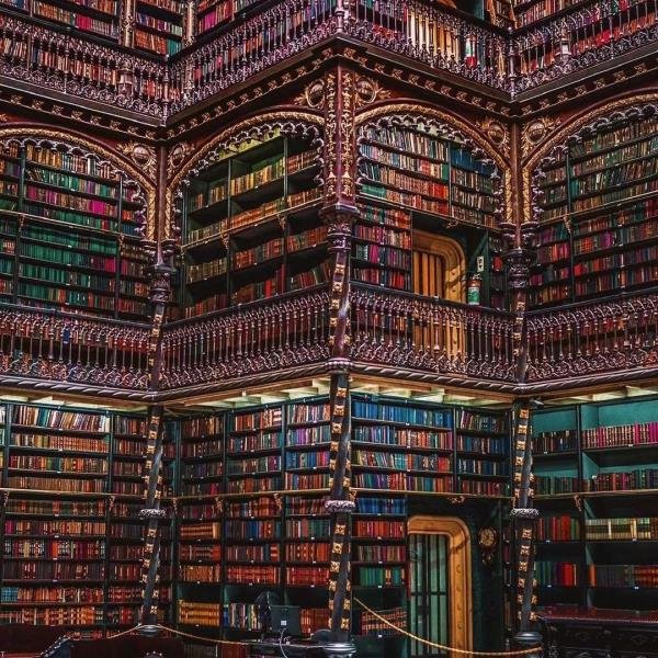  عکس کتابخانه برای پروفایل