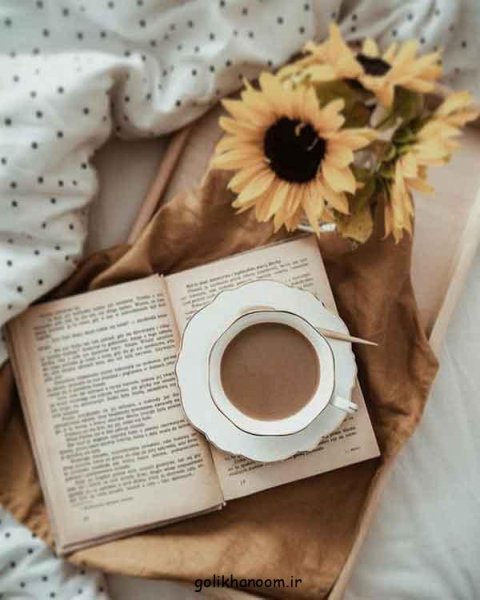  عکس کتاب پینترستی