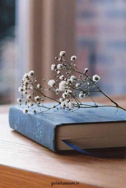  عکس کتاب پینترستی