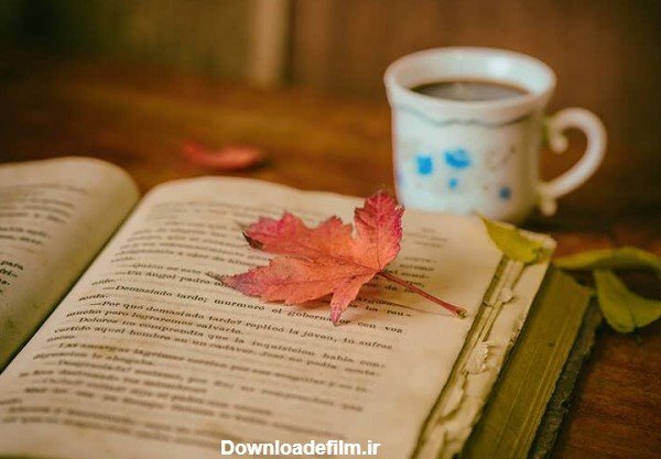  عکس دختر در حال کتاب خواندن کارتونی