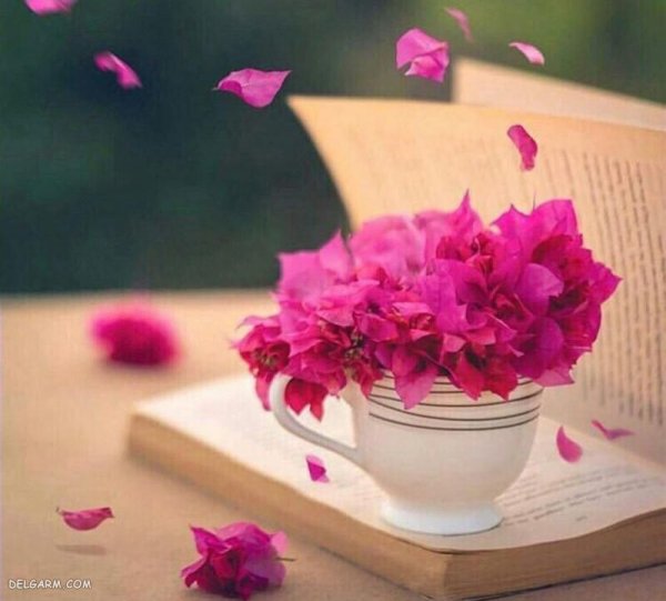  عکس پروفایل کتاب و قهوه
