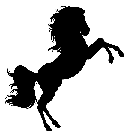 عکس مینیمال اسب