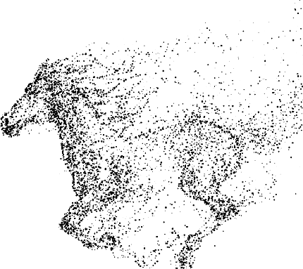  عکس مینیمال اسب
