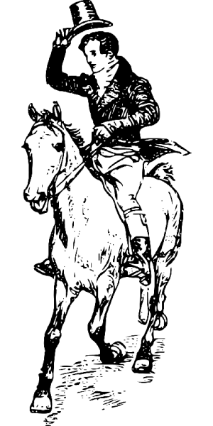  عکس مینیمال اسب