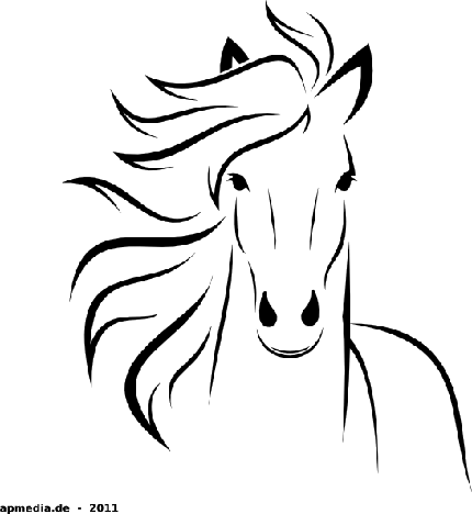  عکس مینیمال اسب