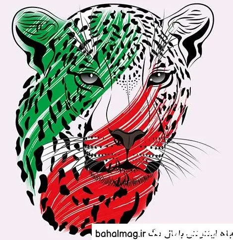  عکس پرچم ایران برای پروفایل شاد