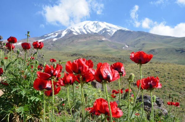  زیباترین عکس ایران