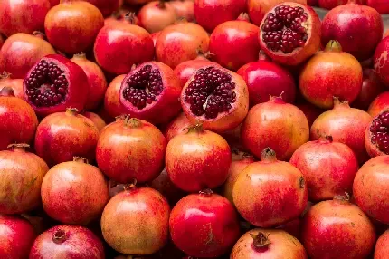 عکس انار طبیعی