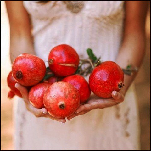 عکس انار فانتزی
