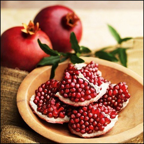 عکس انار فانتزی
